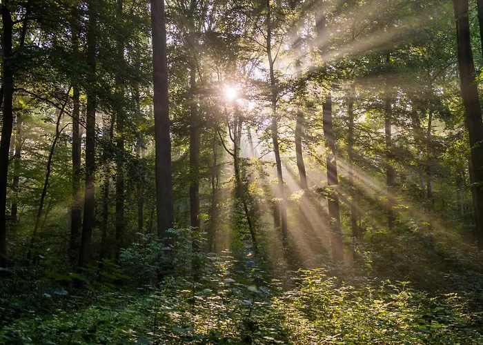 Vulkaneifel * Nickenich