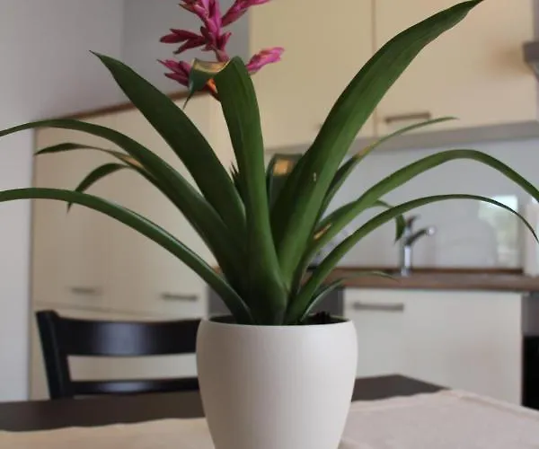 Apartament Vulkaneifel